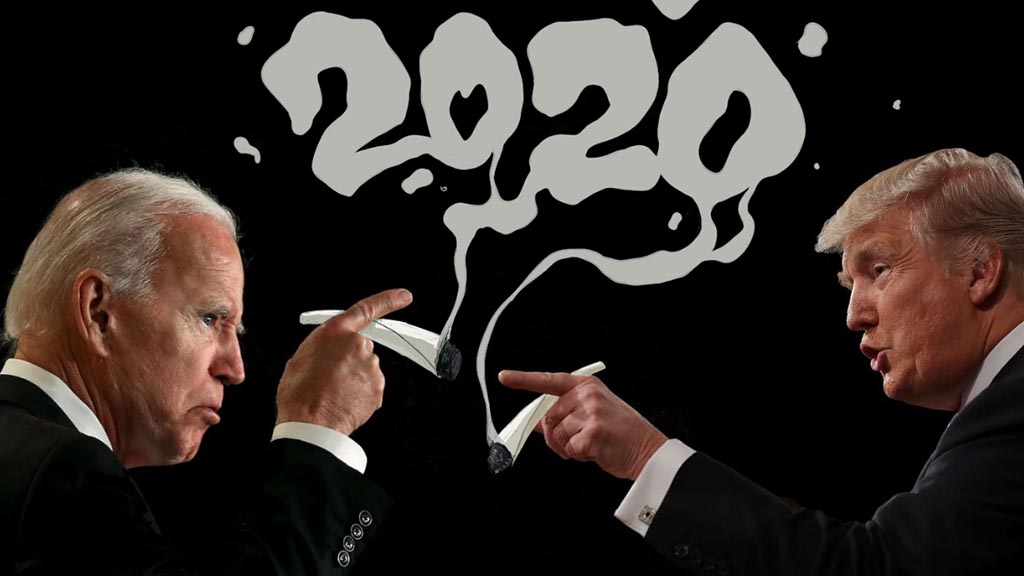 Legalizacija kanabisa na Američkim izborima 2020. – Kratki vodič