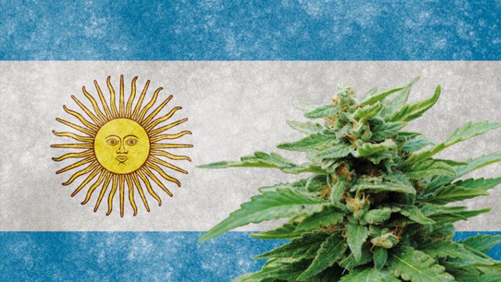 Argentina – Besplatni kanabis za sve kojima je potreban